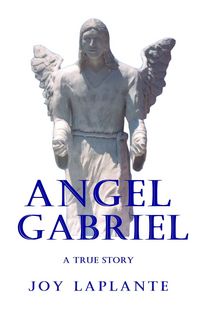 Produktbild: Angel Gabriel - A True Story