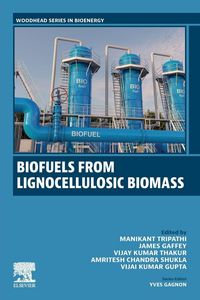 Produktbild: Biofuels from Lignocellulosic Materials