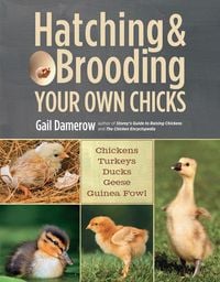 Produktbild: Hatching & Brooding Your Own Chicks