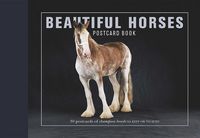 Produktbild: Beautiful Horses Postcard Bk