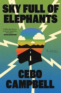 Produktbild: Sky Full of Elephants