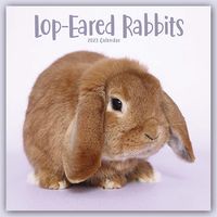Produktbild: Lop-eared Rabbits - Widderkaninchen 2023 - 16-Monatskalender