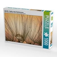 Produktbild: CALVENDO Puzzle Labyrinth - Tropfen in den Fallschirmsamen | 1000 Teile Lege-Gr&ouml;&szlig;e 64x48cm Foto-Puzzle f&uuml;r gl&uuml;ckliche Stunden