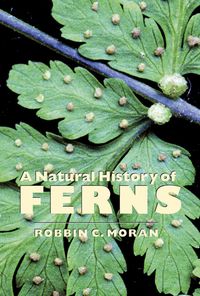 Produktbild: A Natural History of Ferns