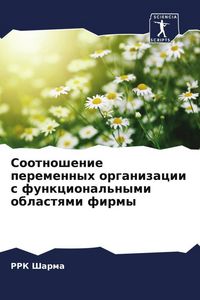 Produktbild: Sootnoshenie peremennyh organizacii s funkcional'nymi oblastqmi firmy