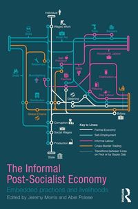 Produktbild: The Informal Post-Socialist Economy