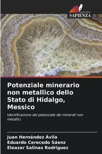 Produktbild: Potenziale minerario non metallico dello Stato di Hidalgo, Messico