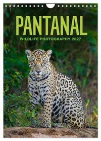 Produktbild: Pantanal Wildlife Photography (Wall Calendar 2027 DIN A4 portrait), CALVENDO 12 Month Wall Calendar
