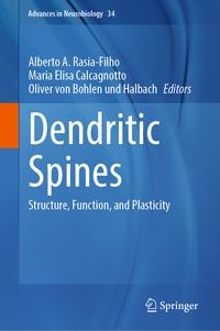 Produktbild: Dendritic Spines