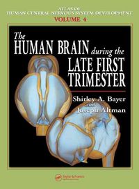 Produktbild: The Human Brain During the Late First Trimester
