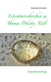 Produktbild: Literaturrecherchen zu Thomas Piketty, Teil1
