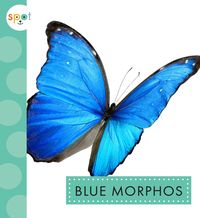 Produktbild: Blue Morphos