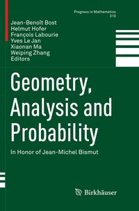 Produktbild: Geometry, Analysis and Probability