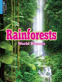 Produktbild: Rainforests
