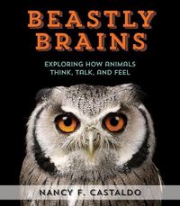 Produktbild: Beastly Brains