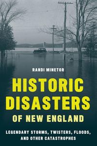 Produktbild: Historic Disasters of New England