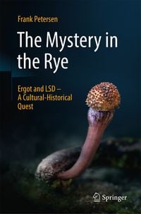Produktbild: The Mystery in the Rye