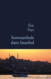 Produktbild: Somnambule dans Istanbul
