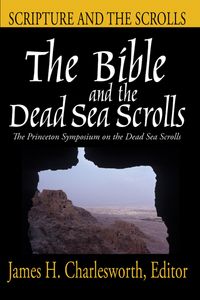 Produktbild: The Bible and the Dead Sea Scrolls