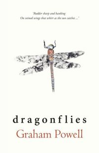 Produktbild: Dragonflies