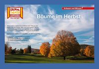 Produktbild: B&auml;ume im Herbst / Kamishibai Bildkarten