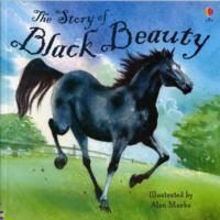Produktbild: Davidson, S: The Story of Black Beauty