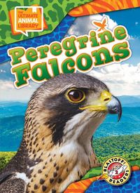 Produktbild: Peregrine Falcons