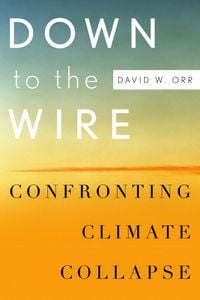 Produktbild: Down to the Wire