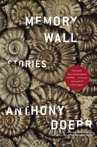 Produktbild: Memory Wall