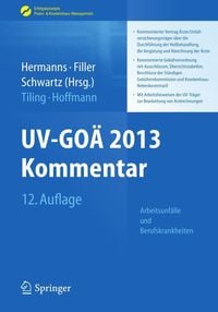 Produktbild: UV-GO&Auml; 2013 Kommentar - Arbeitsunf&auml;lle und Berufskrankheiten