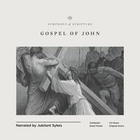 Produktbild: ESV Symphony of Scripture Audio Bible, Gospel of John, Narrated by Jubilant Sykes