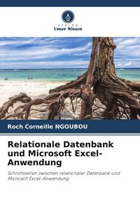 Produktbild: Relationale Datenbank und Microsoft Excel-Anwendung