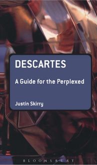 Produktbild: Descartes: A Guide for the Perplexed
