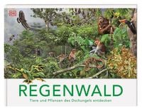Produktbild: Regenwald