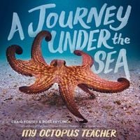 Produktbild: A Journey Under the Sea