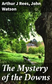 Produktbild: The Mystery of the Downs