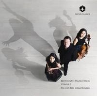 Produktbild: Beethoven: Piano Trios Vol.1