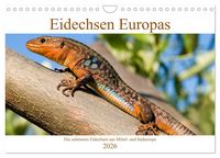 Produktbild: Eidechsen Europas (Wandkalender 2026 DIN A4 quer), CALVENDO Monatskalender