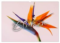 Produktbild: Die magische Welt der Blumen (Wandkalender 2026 DIN A2 quer), CALVENDO Monatskalender