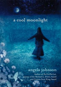Produktbild: A Cool Moonlight