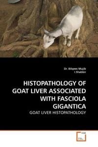 Produktbild: Fm, P: Histopathology Of Goat Liver Associated with Fasciola