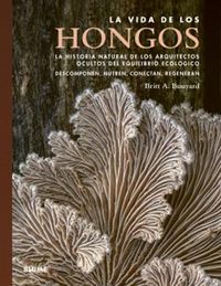 Produktbild: La vida de los hongos