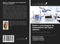 Produktbild: Retos y estrategias de tratamiento del &aacute;pice abierto