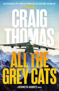 Produktbild: All the Grey Cats