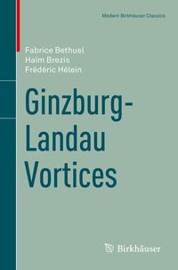 Produktbild: Ginzburg-Landau Vortices