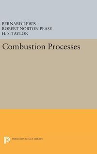 Produktbild: Combustion Processes