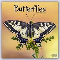 Produktbild: Butterflies - Schmetterlinge 2023 - 16-Monatskalender