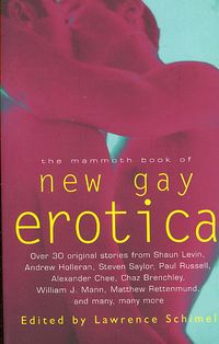 Produktbild: The Mammoth Book of New Gay Erotica