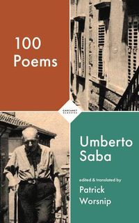 Produktbild: 100 Poems