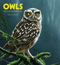Produktbild: Owls